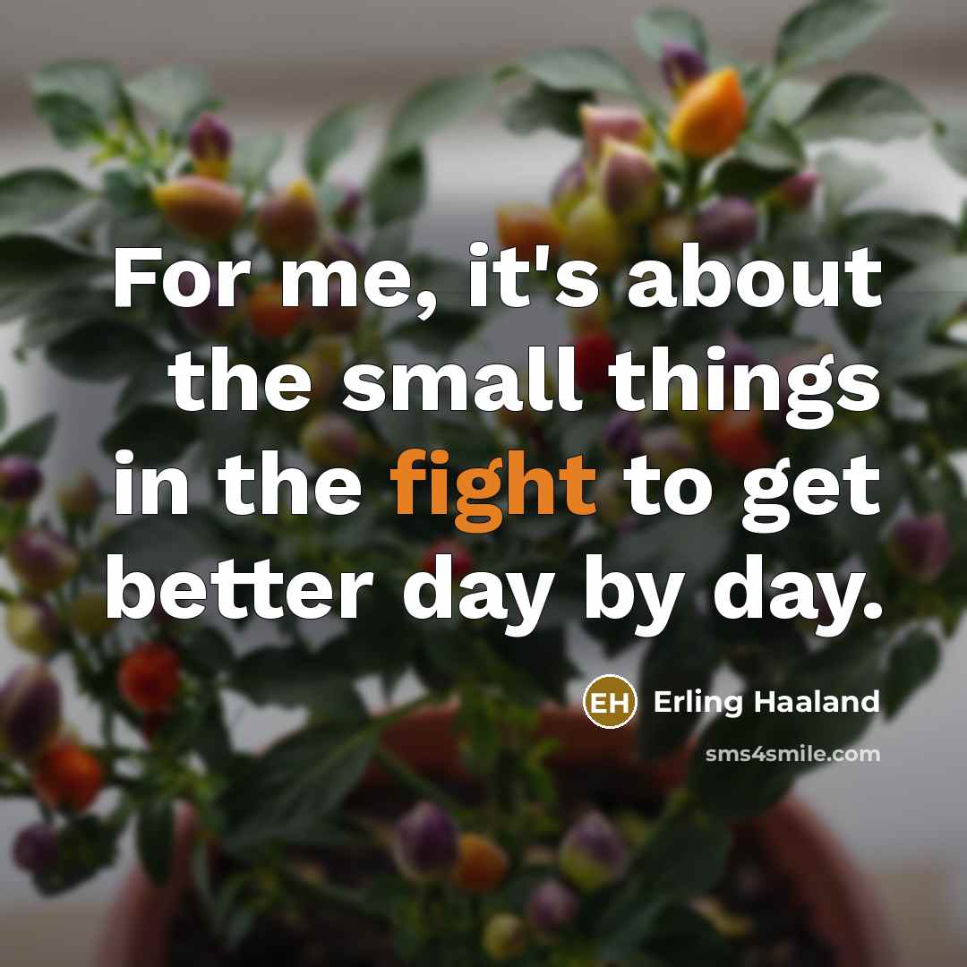 “For me, it's about the small things in the fight…” quote by Erling Haaland