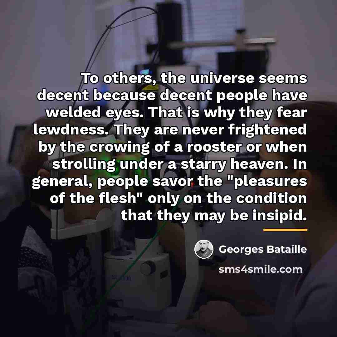“To others, the universe seems decent because decent people have…” quote by Georges Bataille