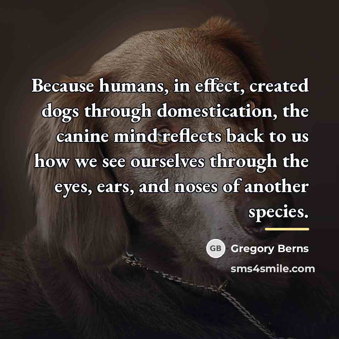 “Because humans, in effect, created dogs through domestication, the canine…” quote by Gregory Berns