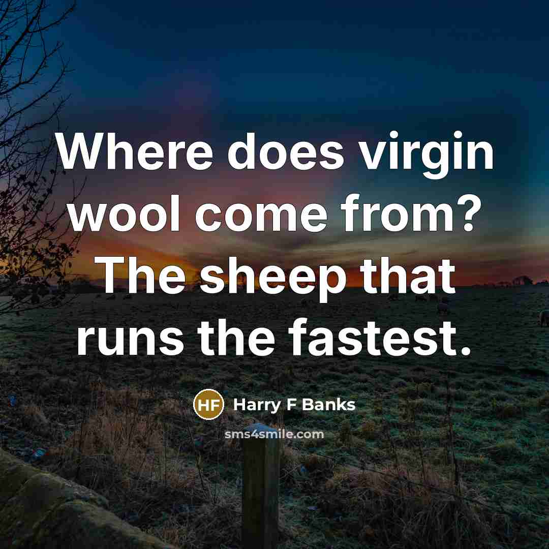 “Where does virgin wool come from? The sheep that runs…” quote by Harry F Banks