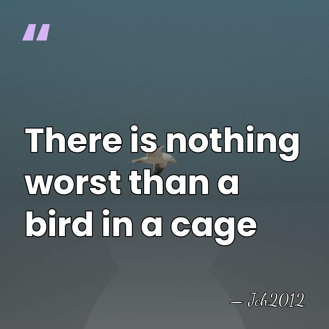 There is nothing worst than a bird in a cage - Jch2012