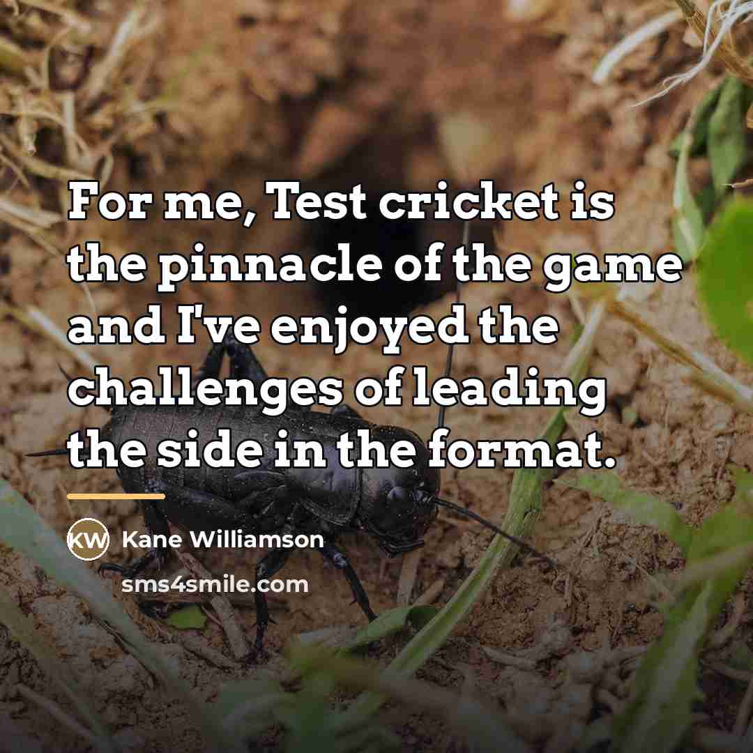 “For me, Test cricket is the pinnacle of the game…” quote by Kane Williamson