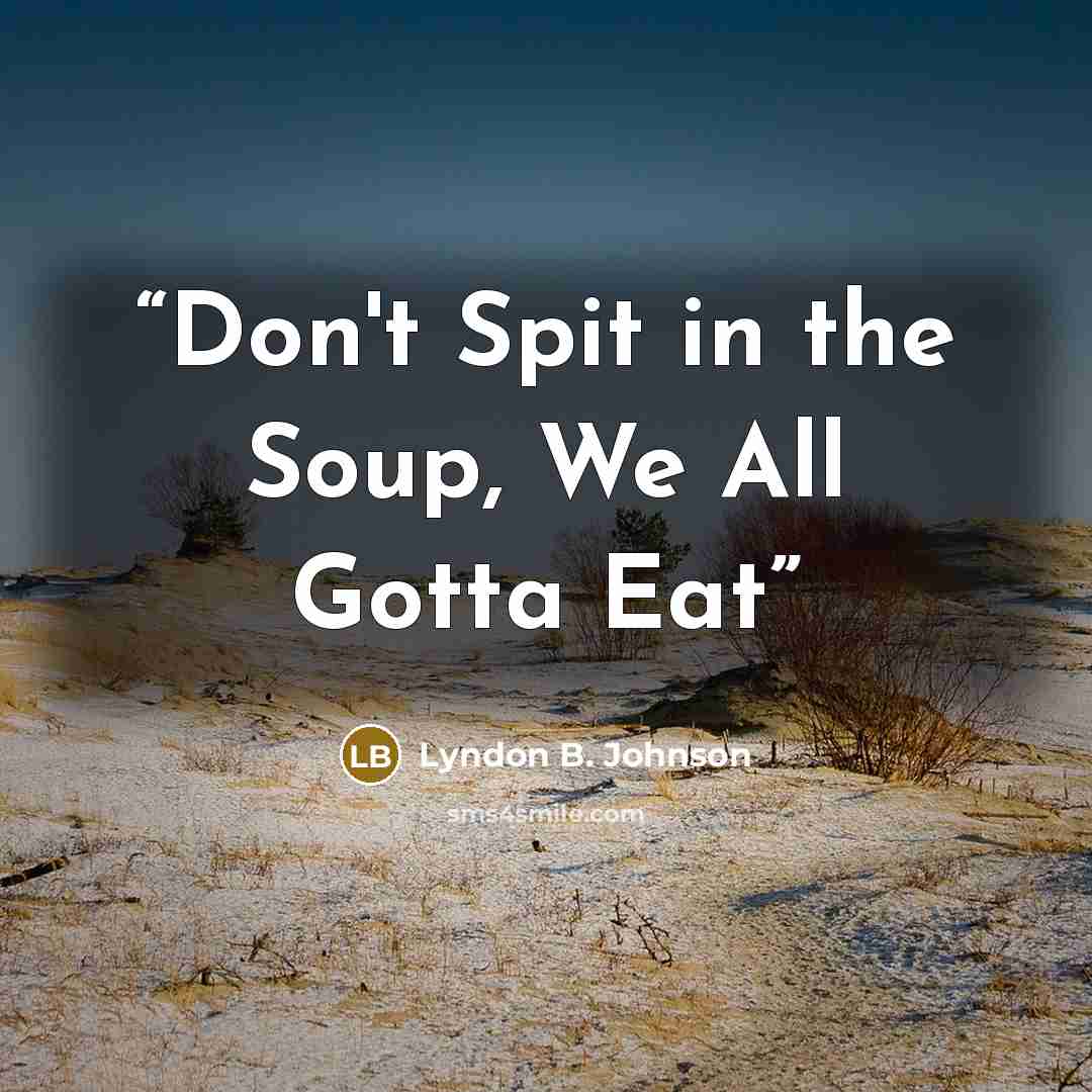 “Don't Spit in the Soup, We All Gotta Eat” quote by Lyndon B. Johnson