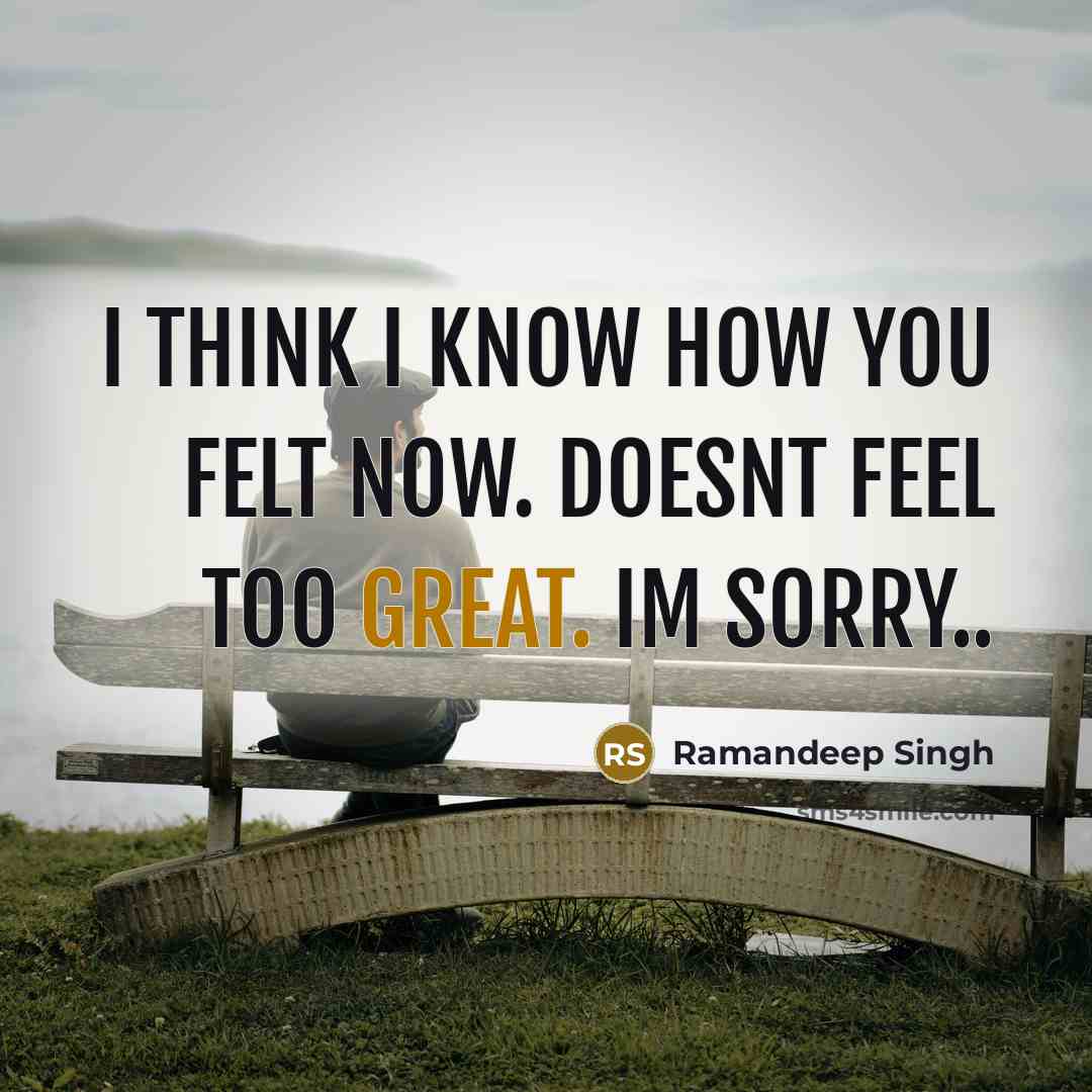 “I think I know how you felt now. Doesnt feel…” quote by Ramandeep Singh