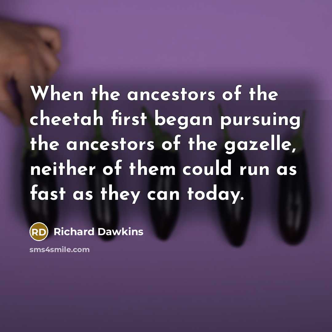 “When the ancestors of the cheetah first began pursuing the…” quote by Richard Dawkins