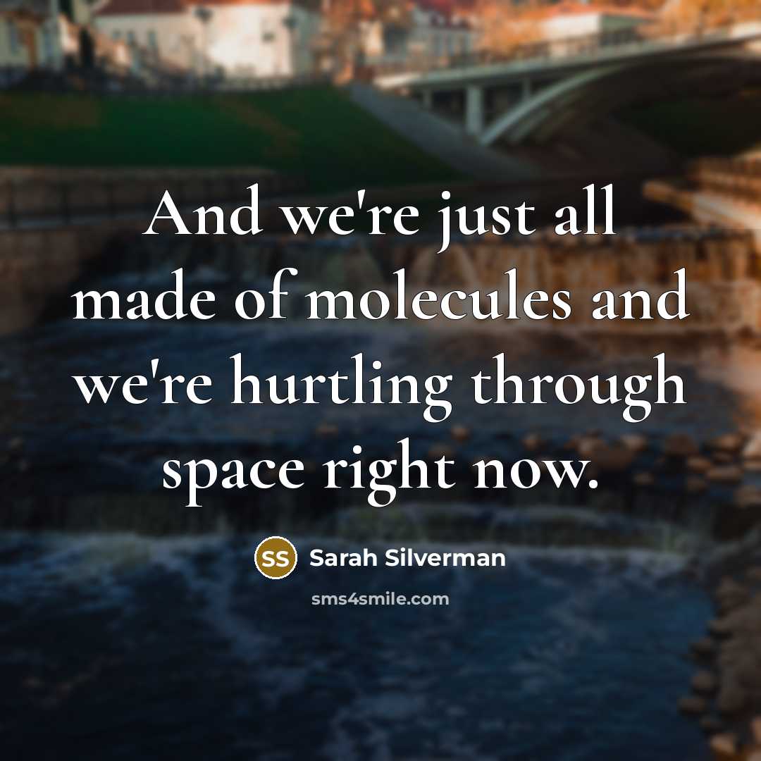 “And we're just all made of molecules and we're hurtling…” quote by Sarah Silverman