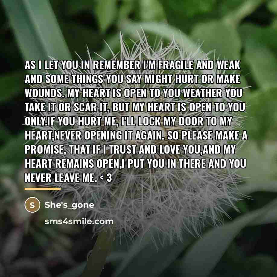 “As I let you in remember I'm fragile and weak…” quote by She's_gone