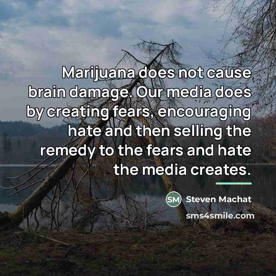 “Marijuana does not cause brain damage. Our media does by…” quote by Steven Machat