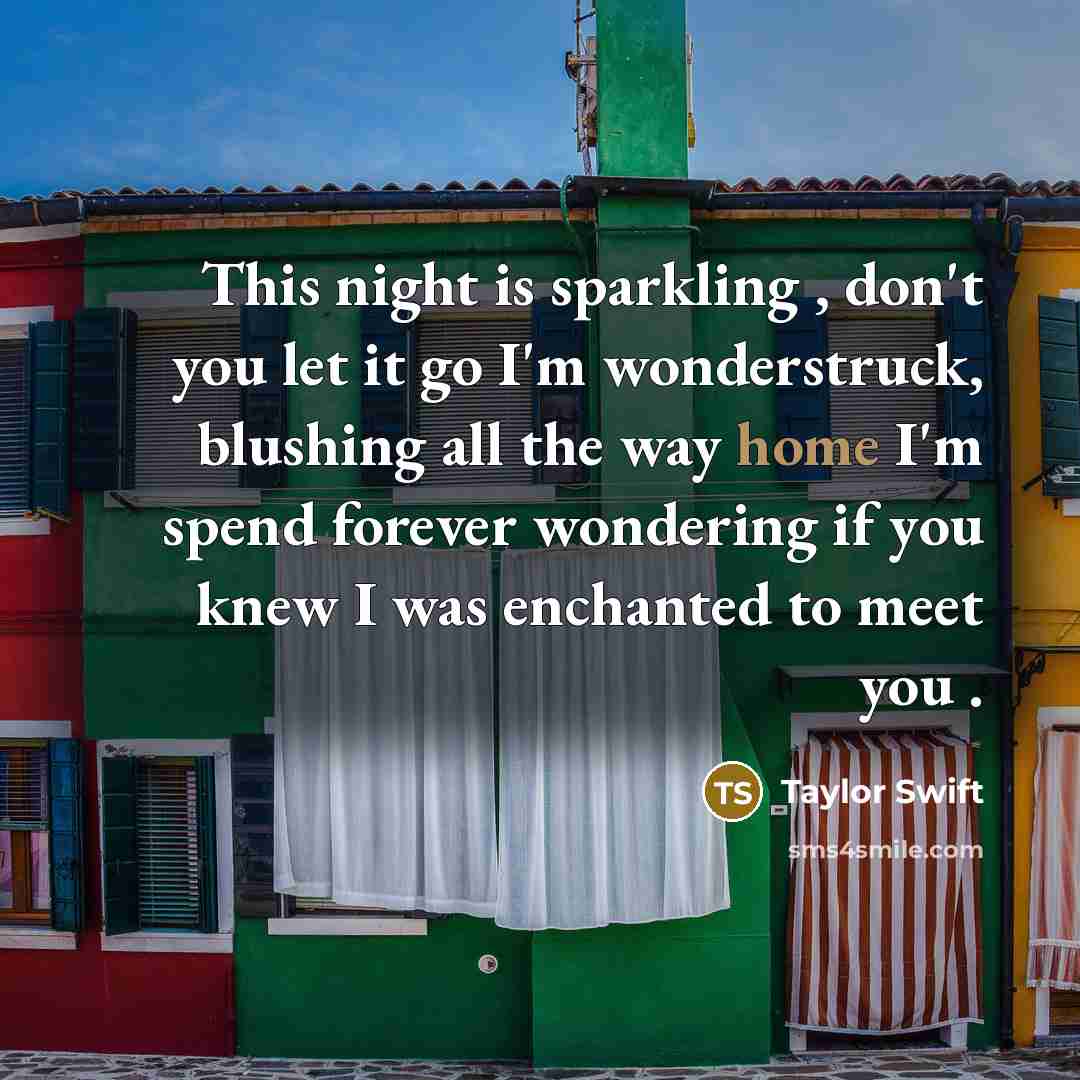 “This night is sparkling , don't you let it go…” quote by Taylor Swift
