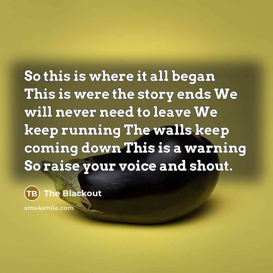 “So this is where it all began This is were the story ends We will never need to leave We keep running The walls keep coming down This is a warning So raise your voice and shout.” quote by The Blackout