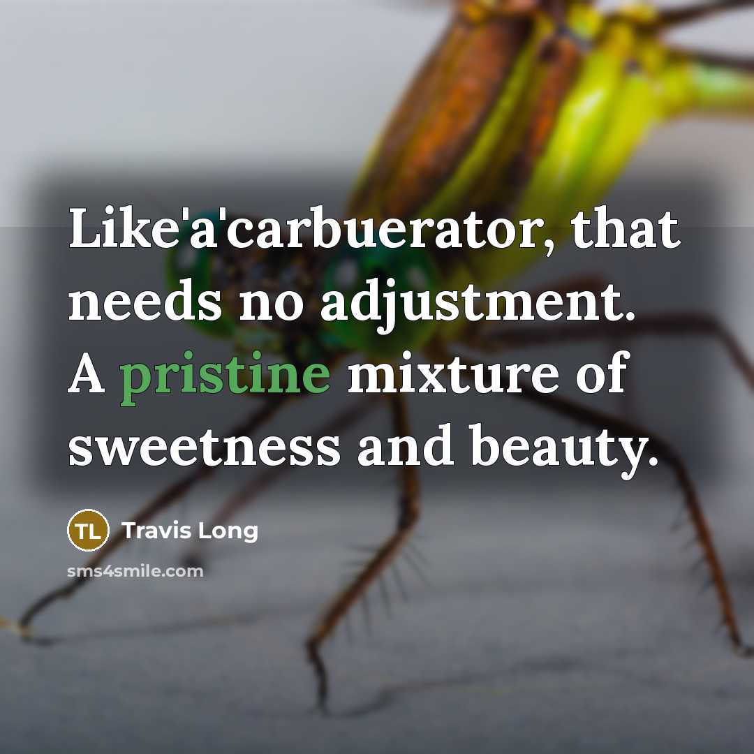 “Like'a'carbuerator, that needs no adjustment. A pristine mixture of sweetness…” quote by Travis Long