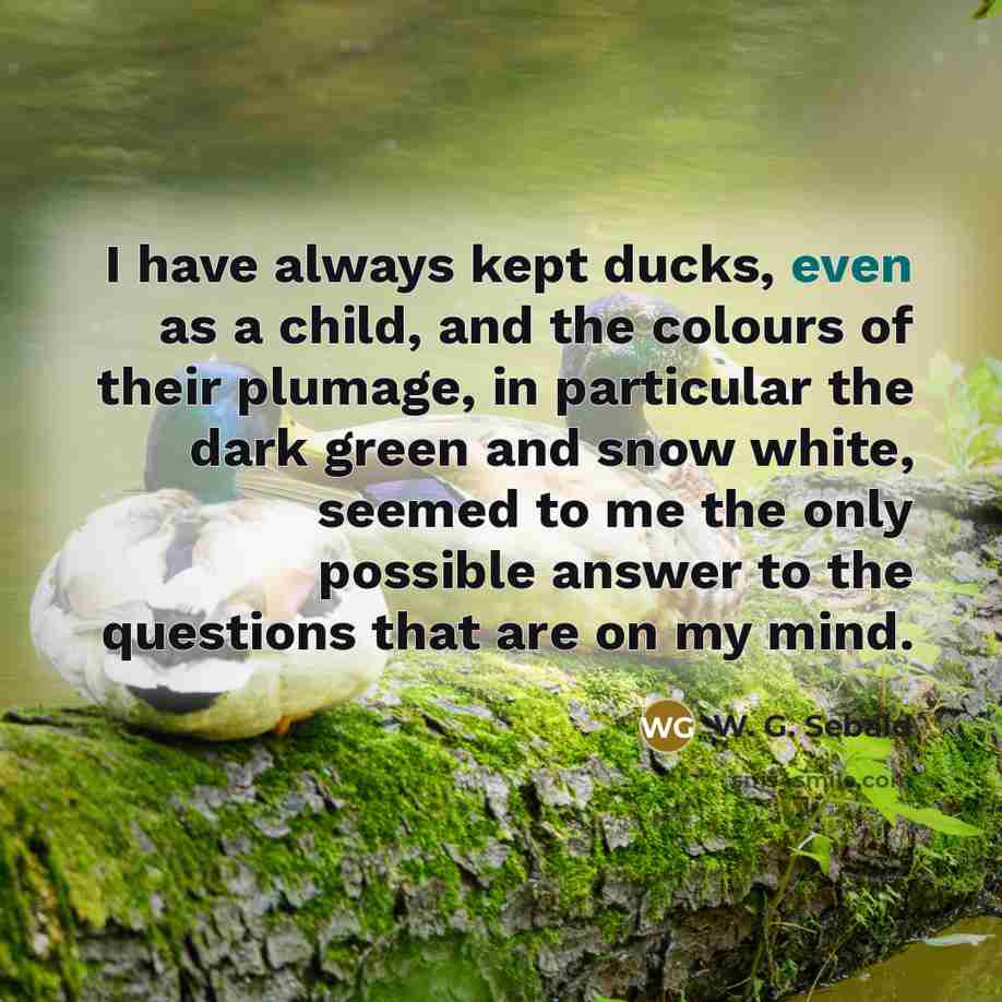 “I have always kept ducks, even as a child, and…” quote by W. G. Sebald