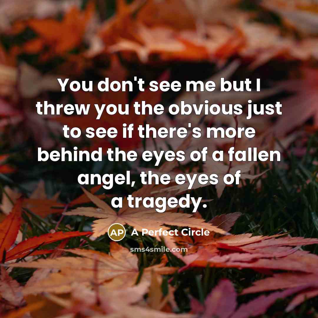 “You don't see me but I threw you the obvious just to see if there's more behind the eyes of a fallen angel, the eyes of a tragedy.” quote by A Perfect Circle