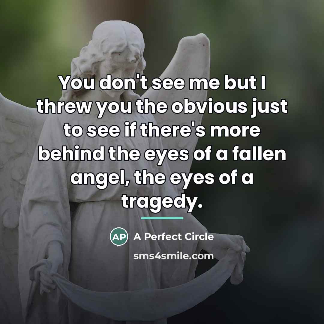 “You don't see me but I threw you the obvious…” quote by A Perfect Circle