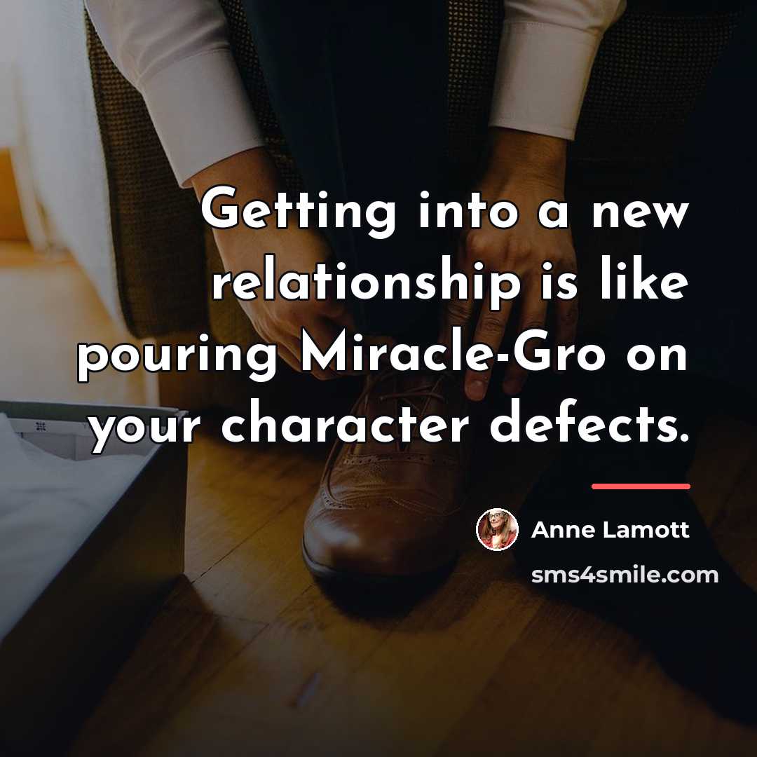 “Getting into a new relationship is like pouring Miracle-Gro on…” quote by Anne Lamott