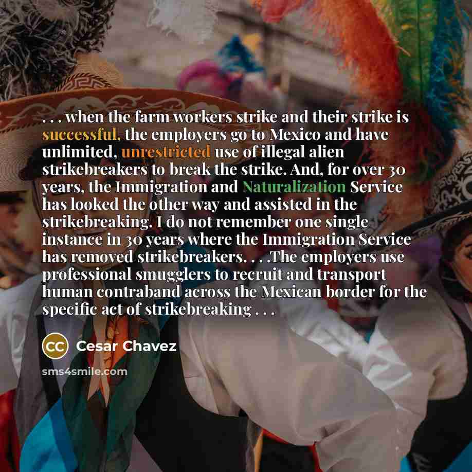 “. . . when the farm workers strike and their strike is successful, the employers go to Mexico and have unlimited, unrestricted use of illegal alien strikebreakers to break the strike. And, for over 30 years, the Immigration and Naturalization Service has looked the other way and assisted in the…” quote by Cesar Chavez