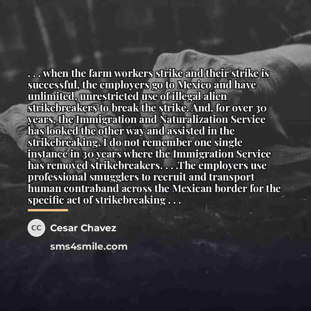 “. . . when the farm workers strike and their…” quote by Cesar Chavez