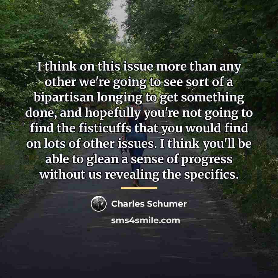 “I think on this issue more than any other we're…” quote by Charles Schumer