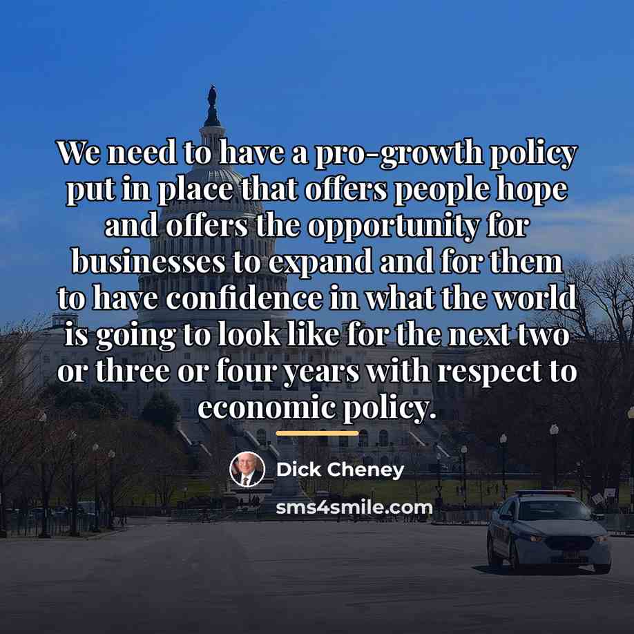 “We need to have a pro-growth policy put in place…” quote by Dick Cheney