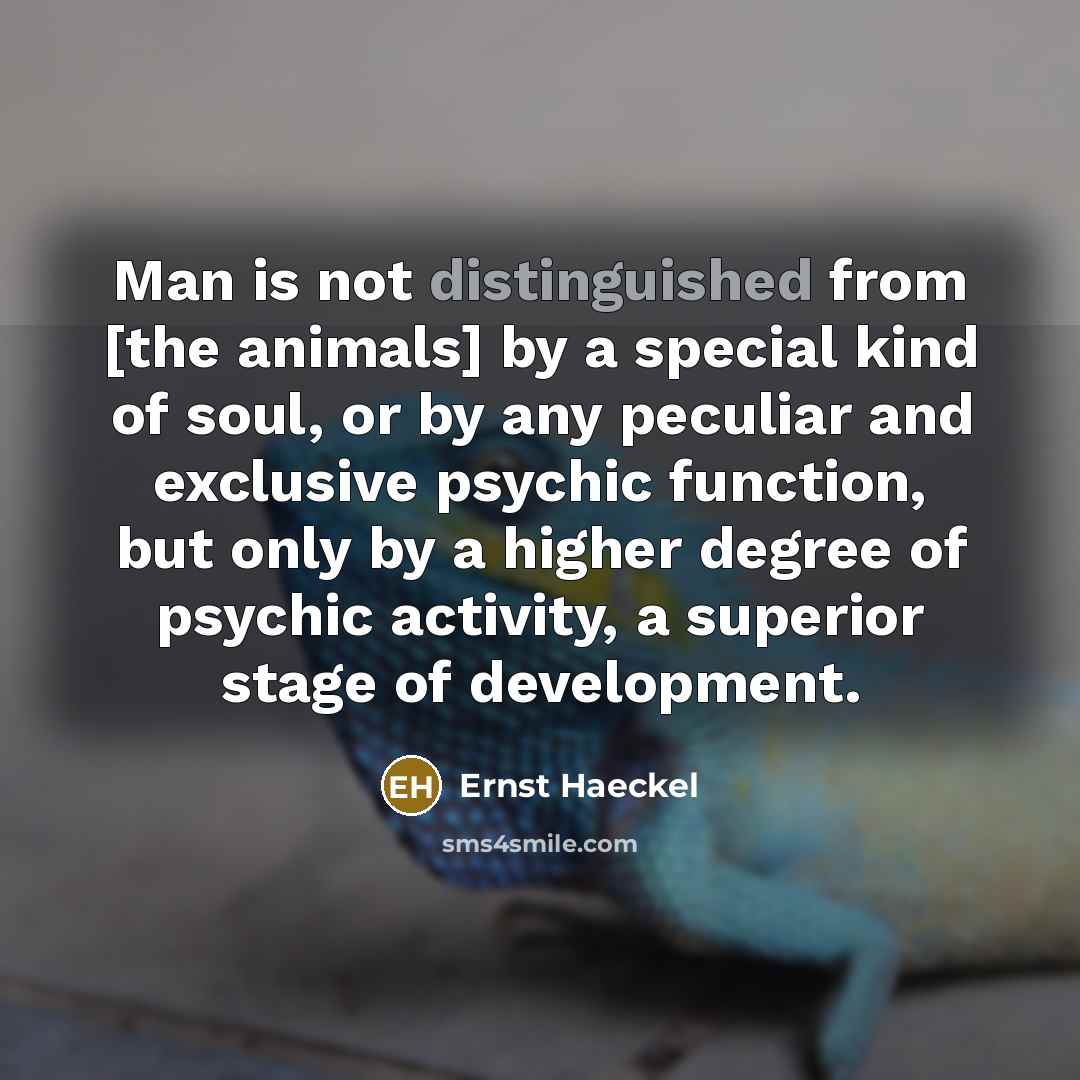 “Man is not distinguished from [the animals] by a special…” quote by Ernst Haeckel