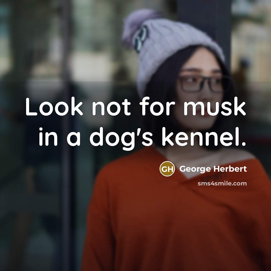 “Look not for musk in a dog's kennel.…” quote by George Herbert