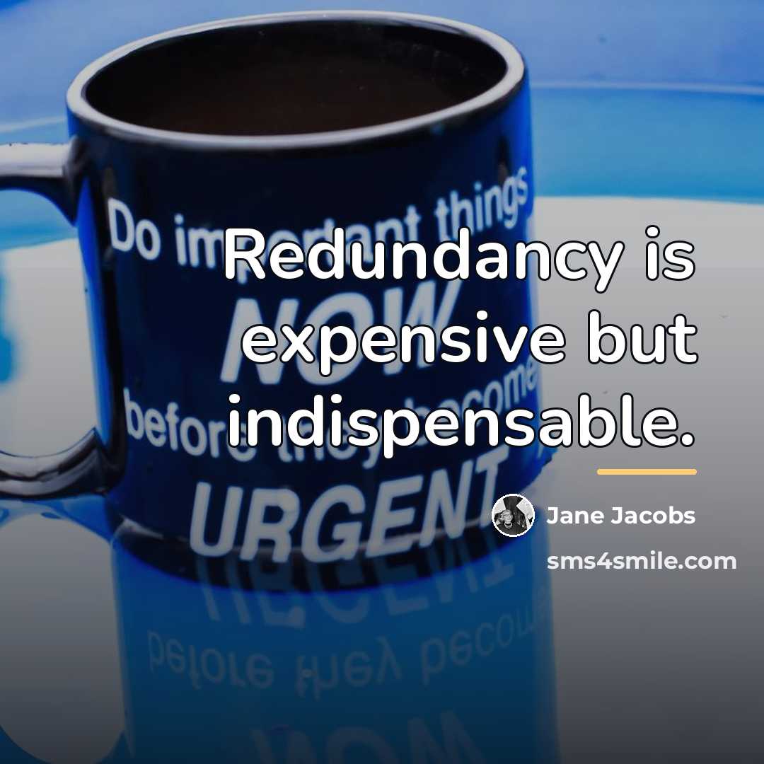 “Redundancy is expensive but indispensable.…” quote by Jane Jacobs