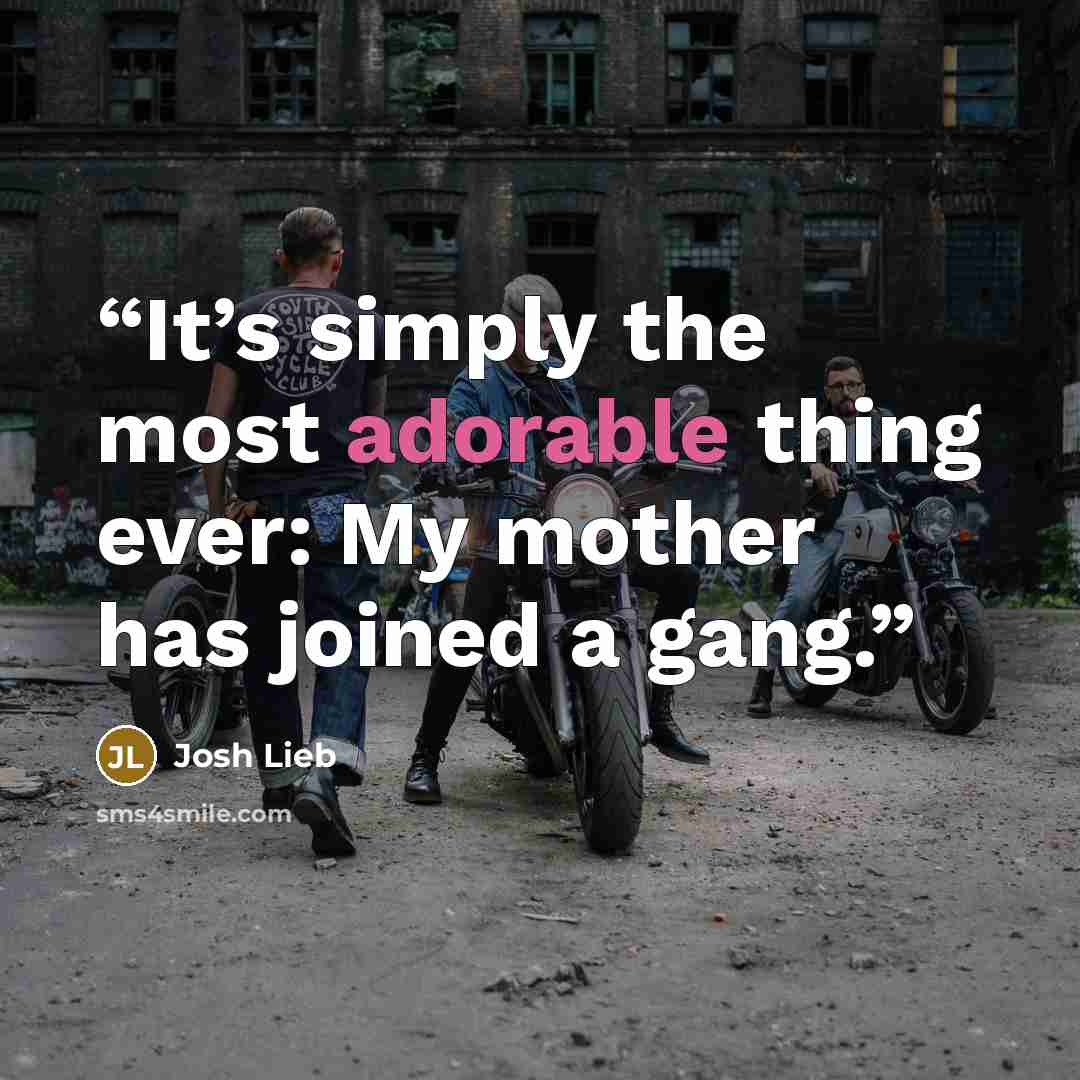 “It’s simply the most adorable thing ever: My mother has joined a gang.” quote by Josh Lieb