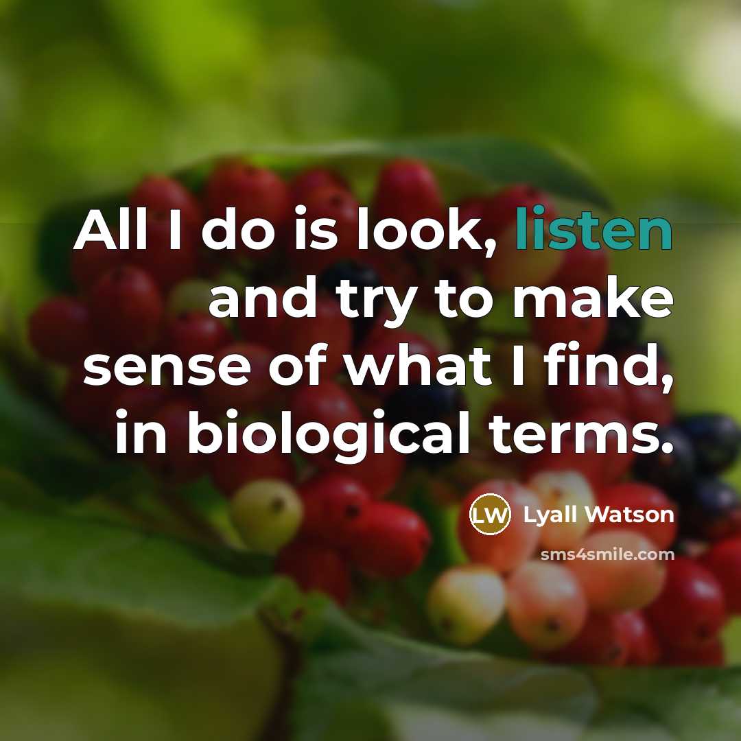 “All I do is look, listen and try to make…” quote by Lyall Watson
