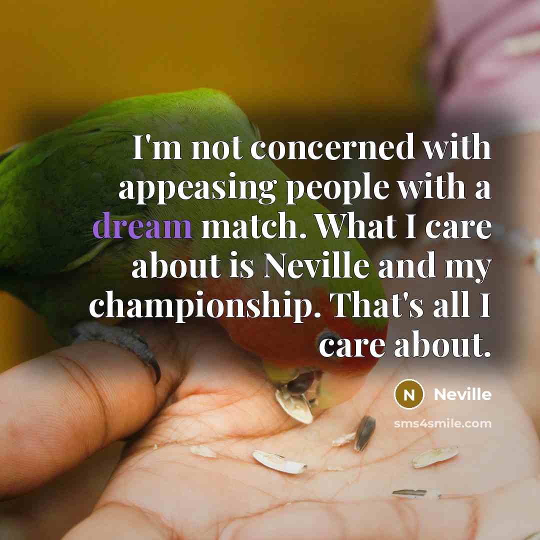 “I'm not concerned with appeasing people with a dream match.…” quote by Neville