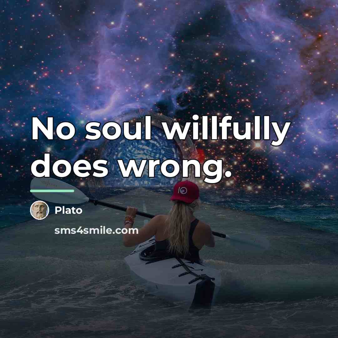 “No soul willfully does wrong.…” quote by Plato
