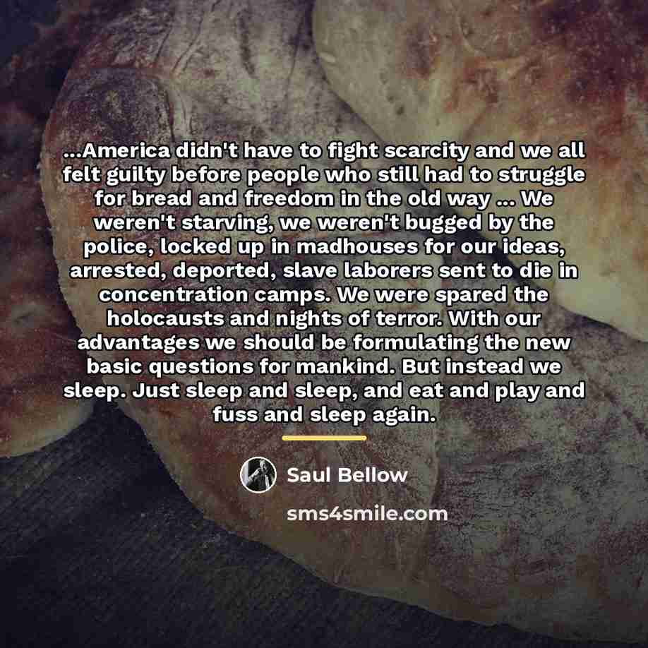“...America didn't have to fight scarcity and we all felt…” quote by Saul Bellow