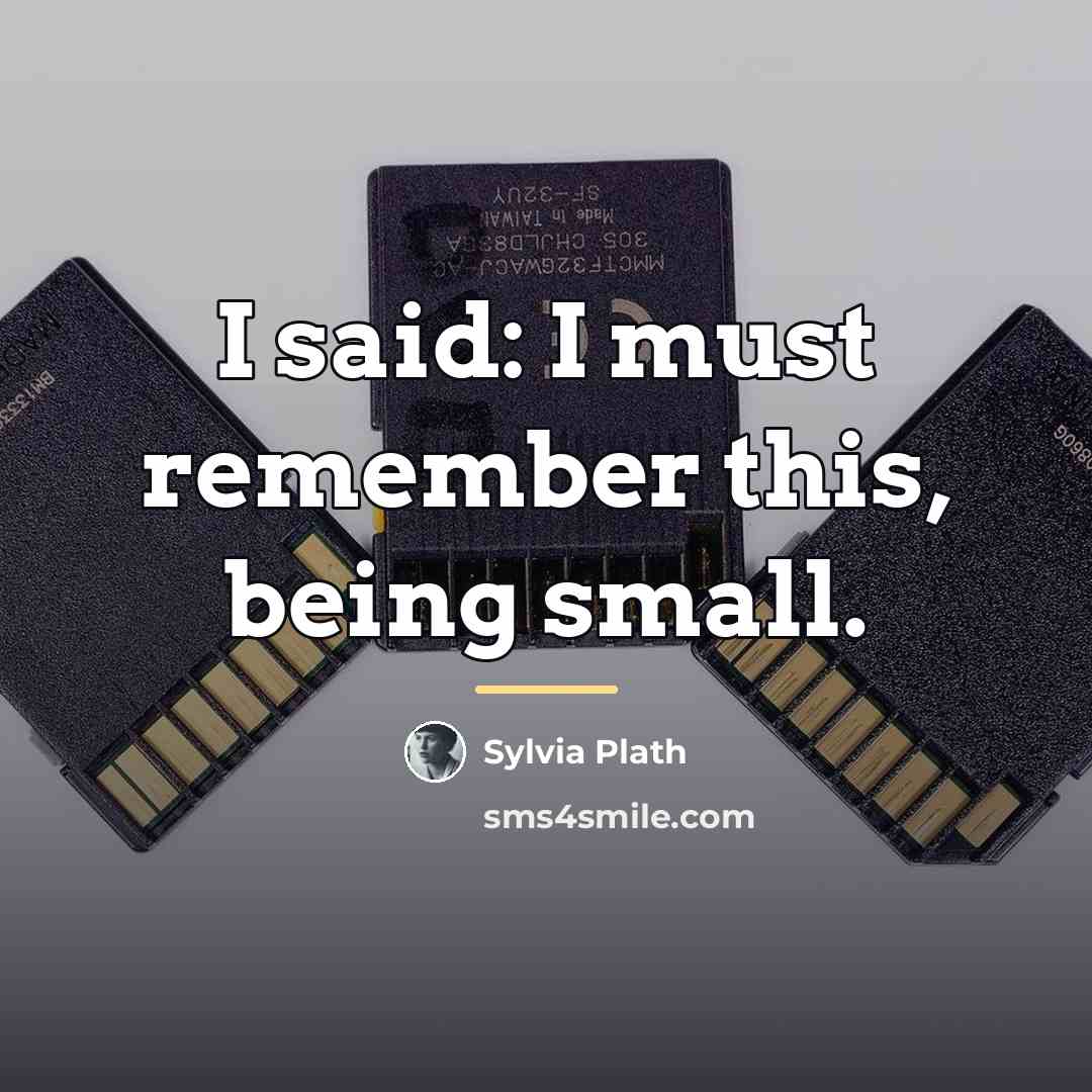 “I said: I must remember this, being small.…” quote by Sylvia Plath