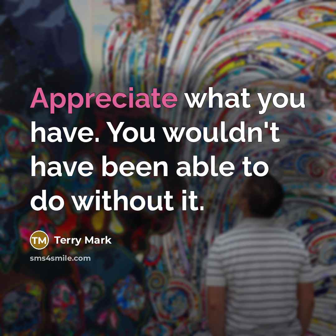 “Appreciate what you have. You wouldn't have been able to…” quote by Terry Mark