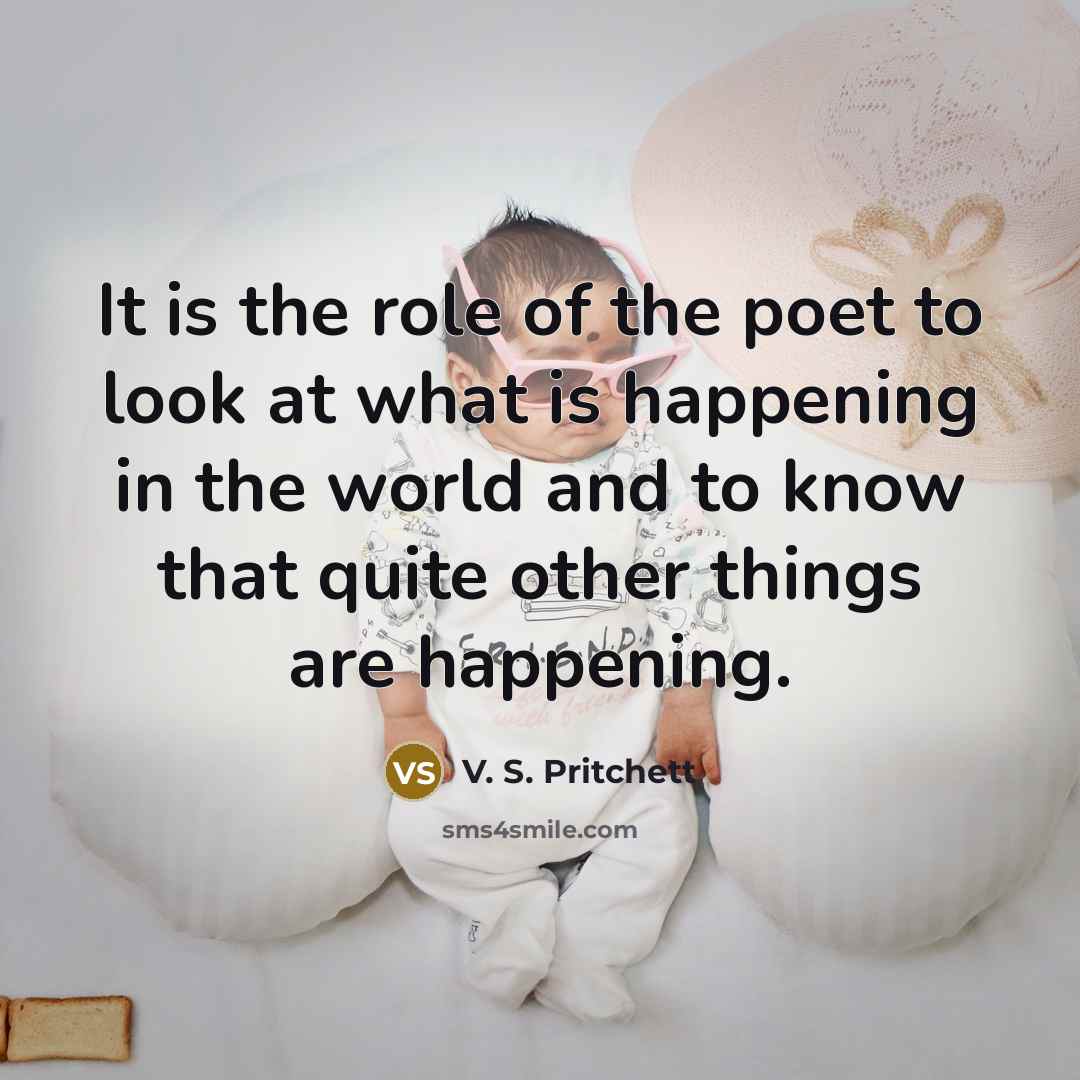 “It is the role of the poet to look at…” quote by V. S. Pritchett