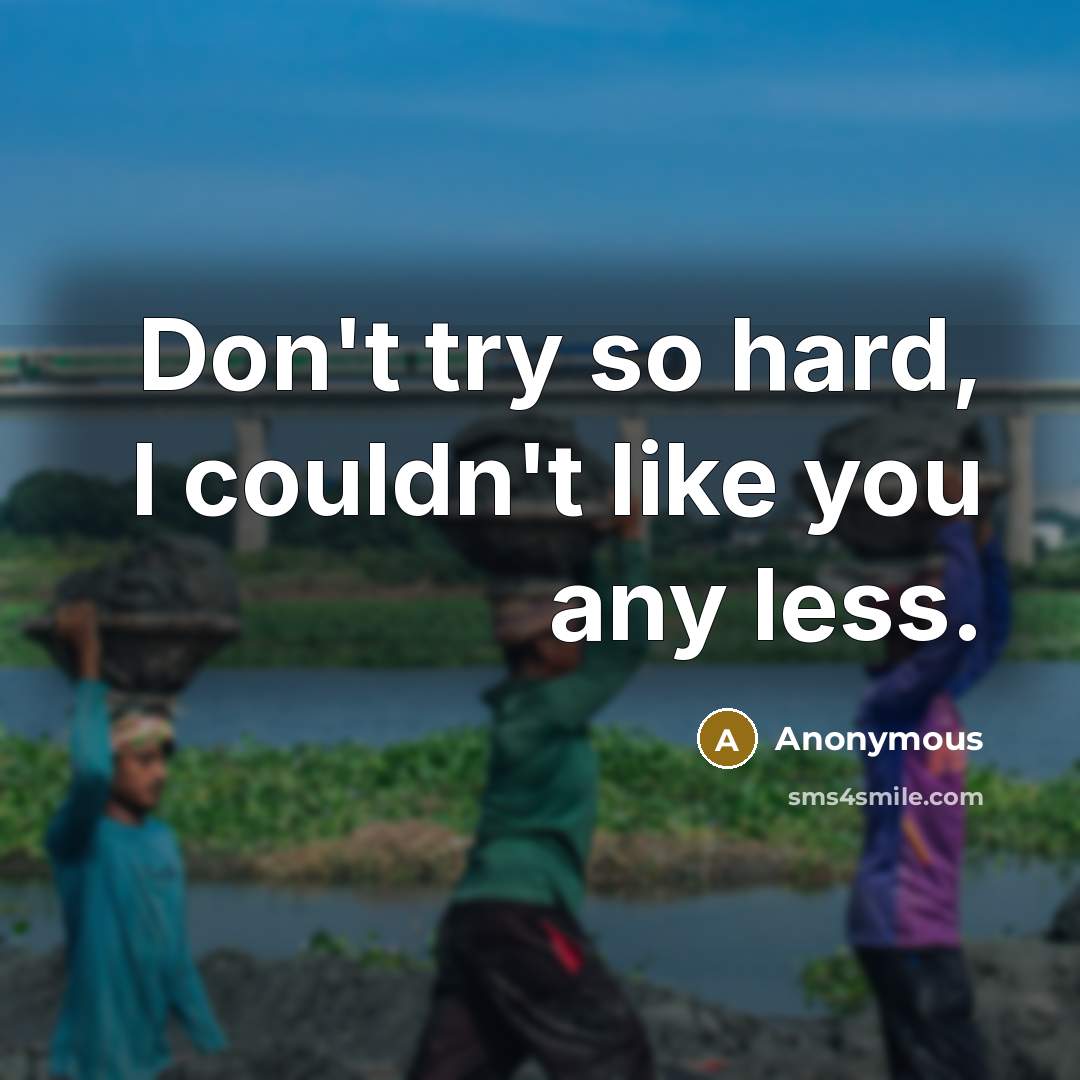“Don't try so hard, I couldn't like you any less.…” quote by Anonymous