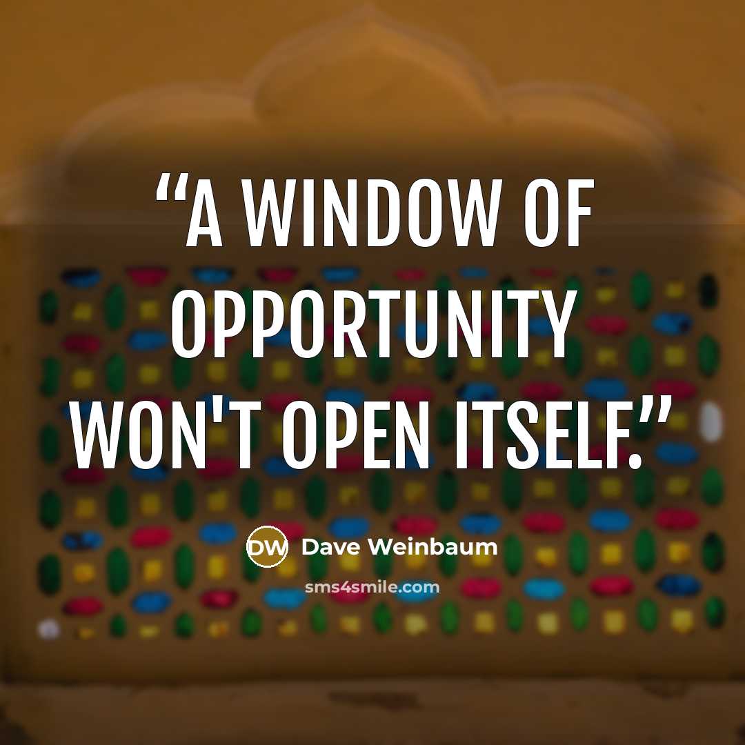 “A window of opportunity won't open itself.” quote by Dave Weinbaum