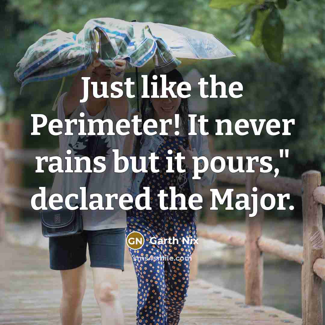 “Just like the Perimeter! It never rains but it pours,"…” quote by Garth Nix