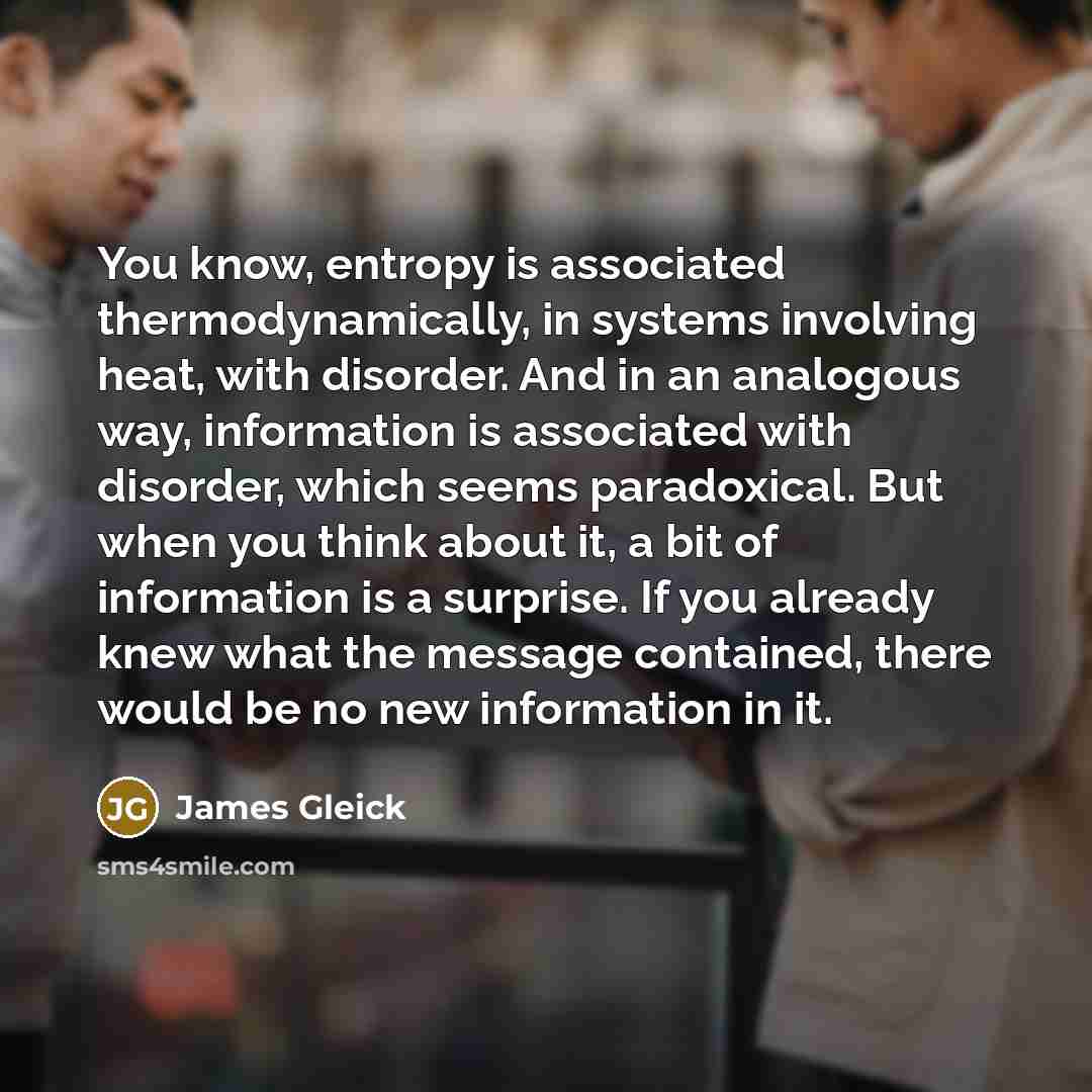 “You know, entropy is associated thermodynamically, in systems involving heat,…” quote by James Gleick