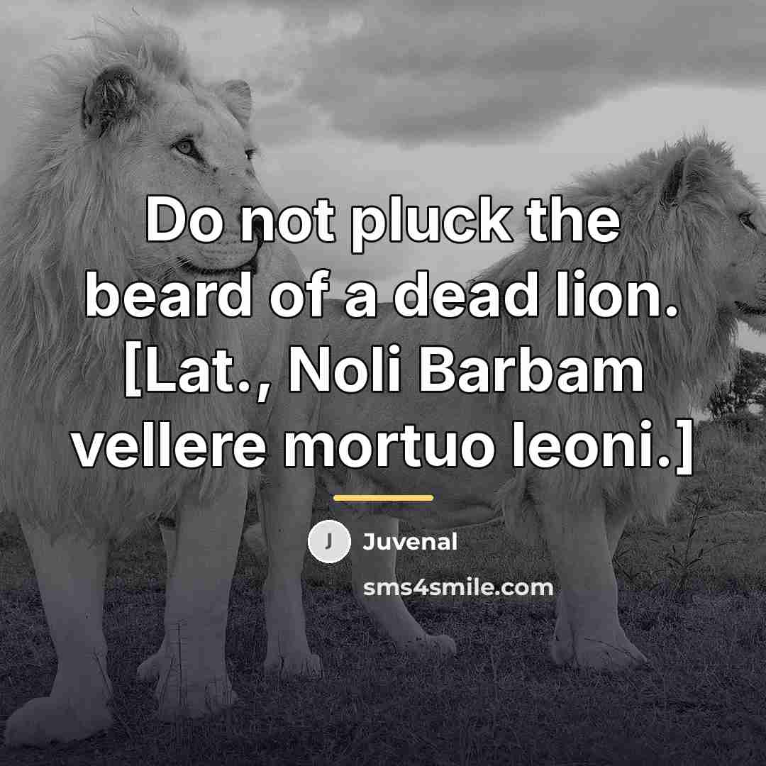 “Do not pluck the beard of a dead lion. [Lat.,…” quote by Juvenal