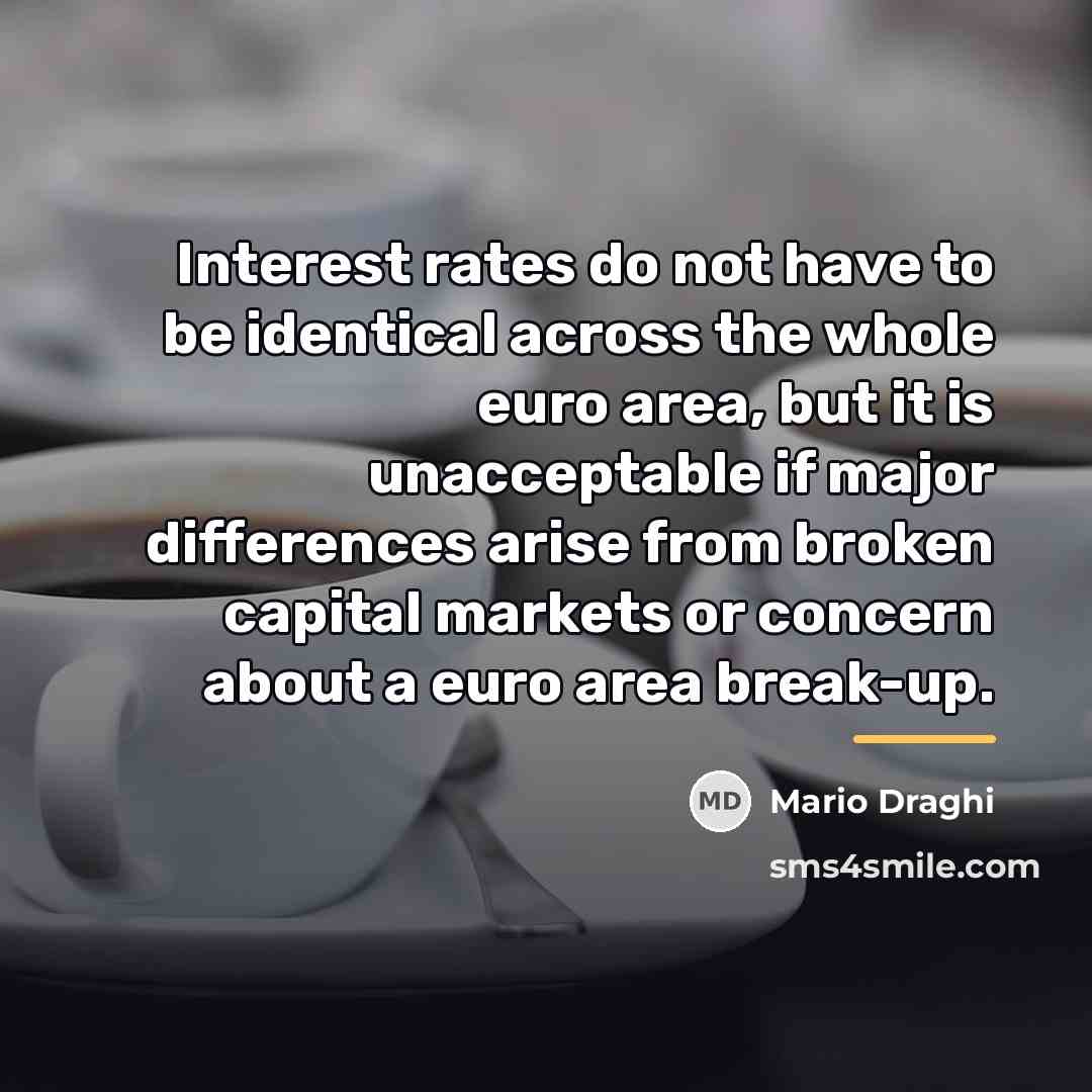 “Interest rates do not have to be identical across the…” quote by Mario Draghi