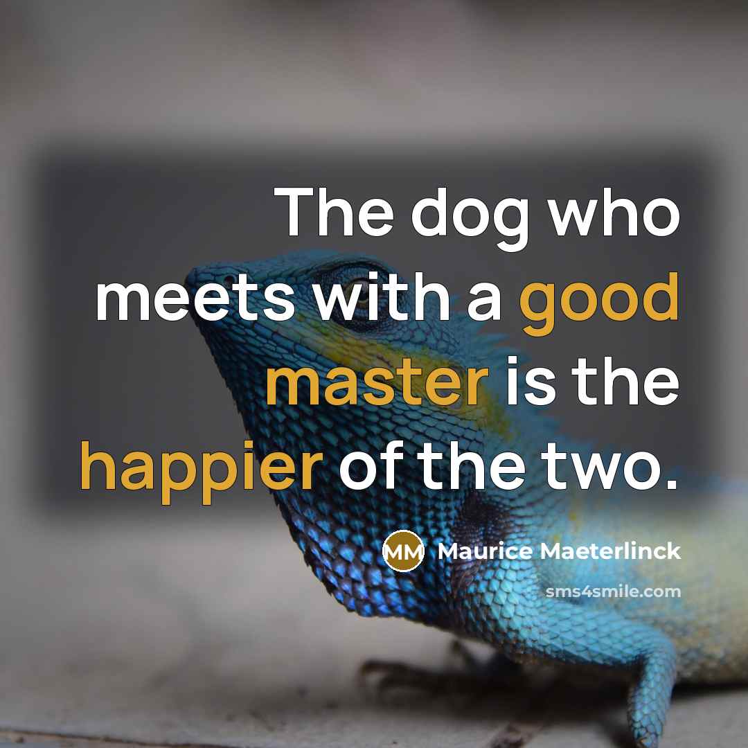 “The dog who meets with a good master is the happier of the two.” quote by Maurice Maeterlinck