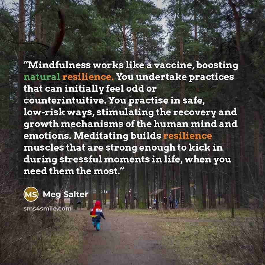“Mindfulness works like a vaccine, boosting natural resilience. You undertake practices that can initially feel odd or counterintuitive. You practise in safe, low-risk ways, stimulating the recovery and growth mechanisms of the human mind and emotions. Meditating builds resilience muscles that are…” quote by Meg Salter