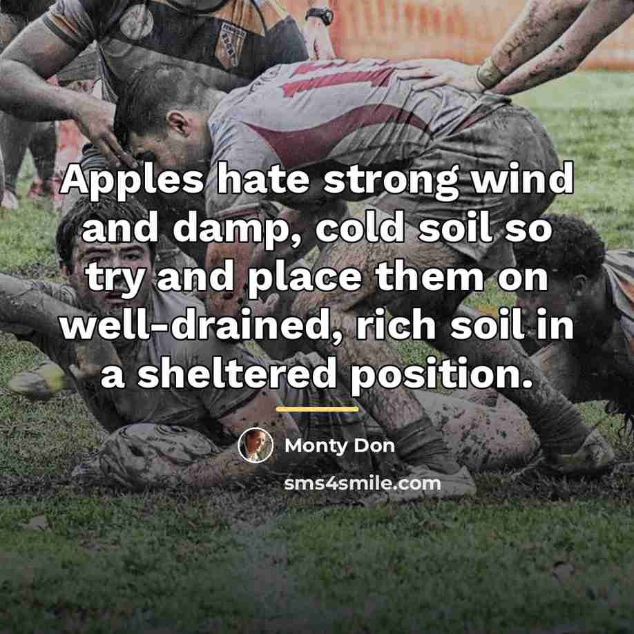 “Apples hate strong wind and damp, cold soil so try…” quote by Monty Don