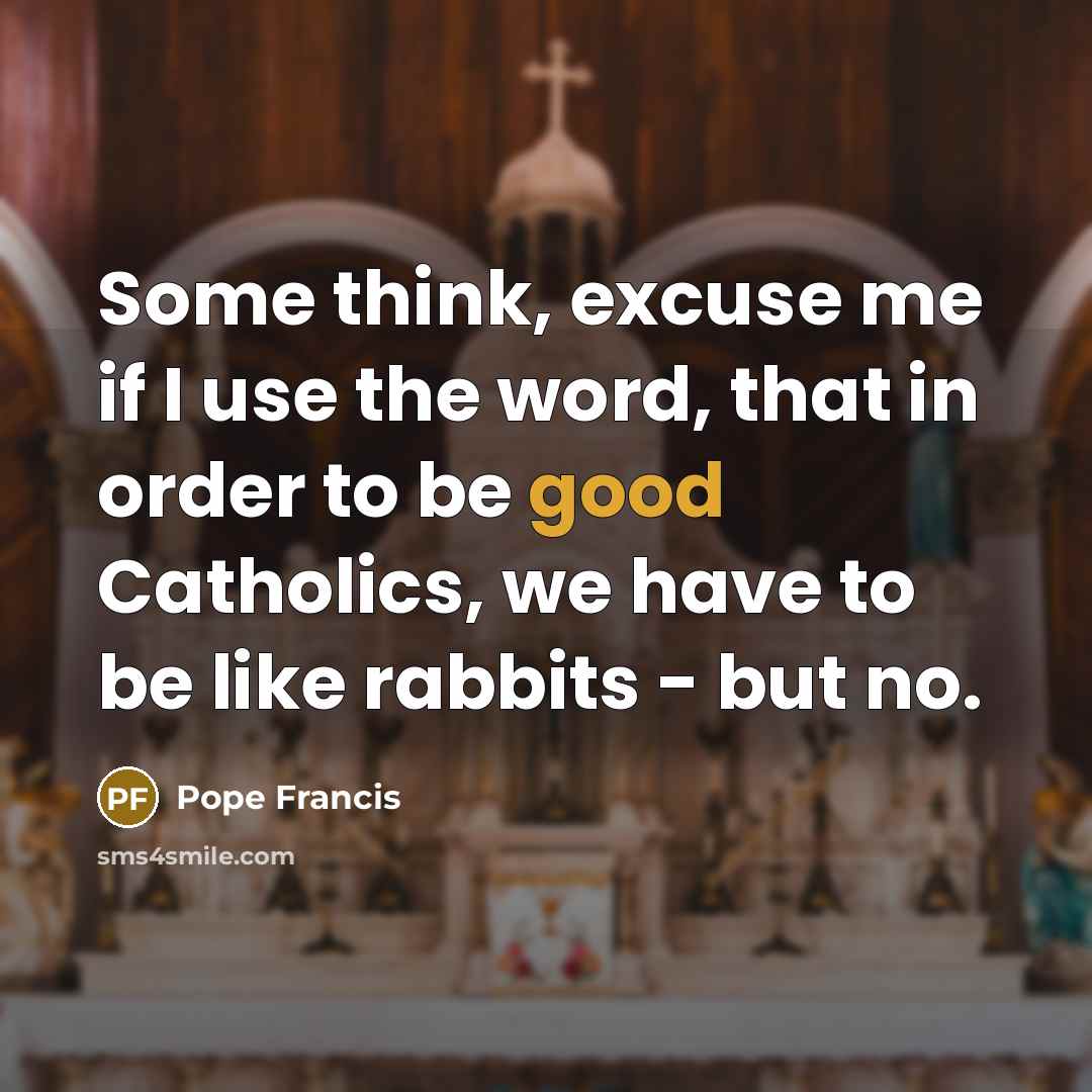 “Some think, excuse me if I use the word, that…” quote by Pope Francis