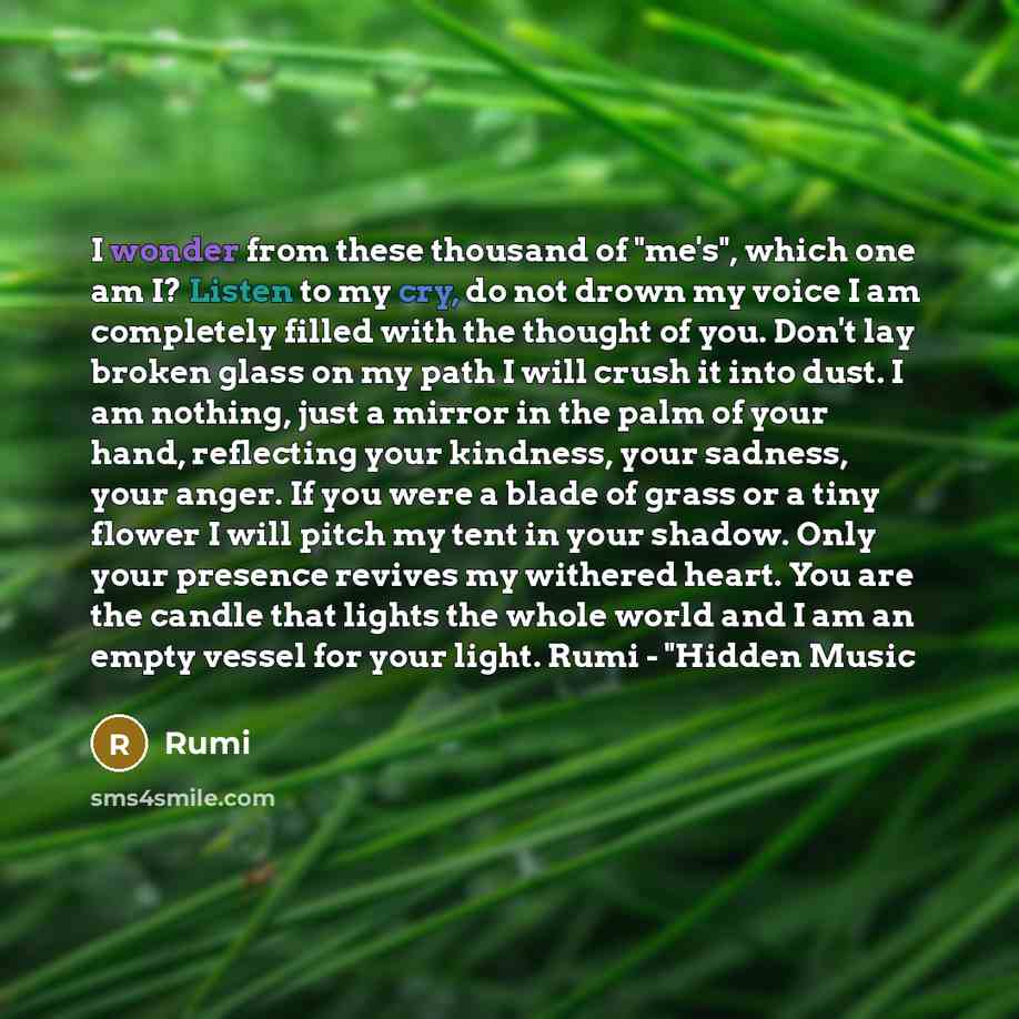 “I wonder from these thousand of "me's", which one am…” quote by Rumi
