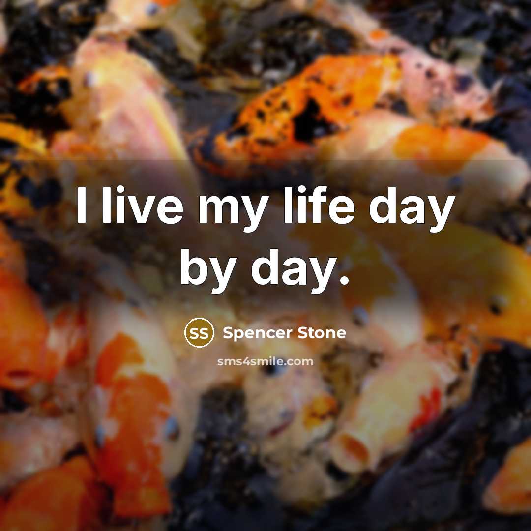 “I live my life day by day.…” quote by Spencer Stone