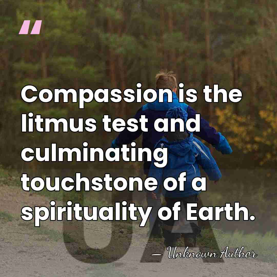 Compassion is the litmus test and culminating touchstone of a spirituality of&hellip; - Unknown Author