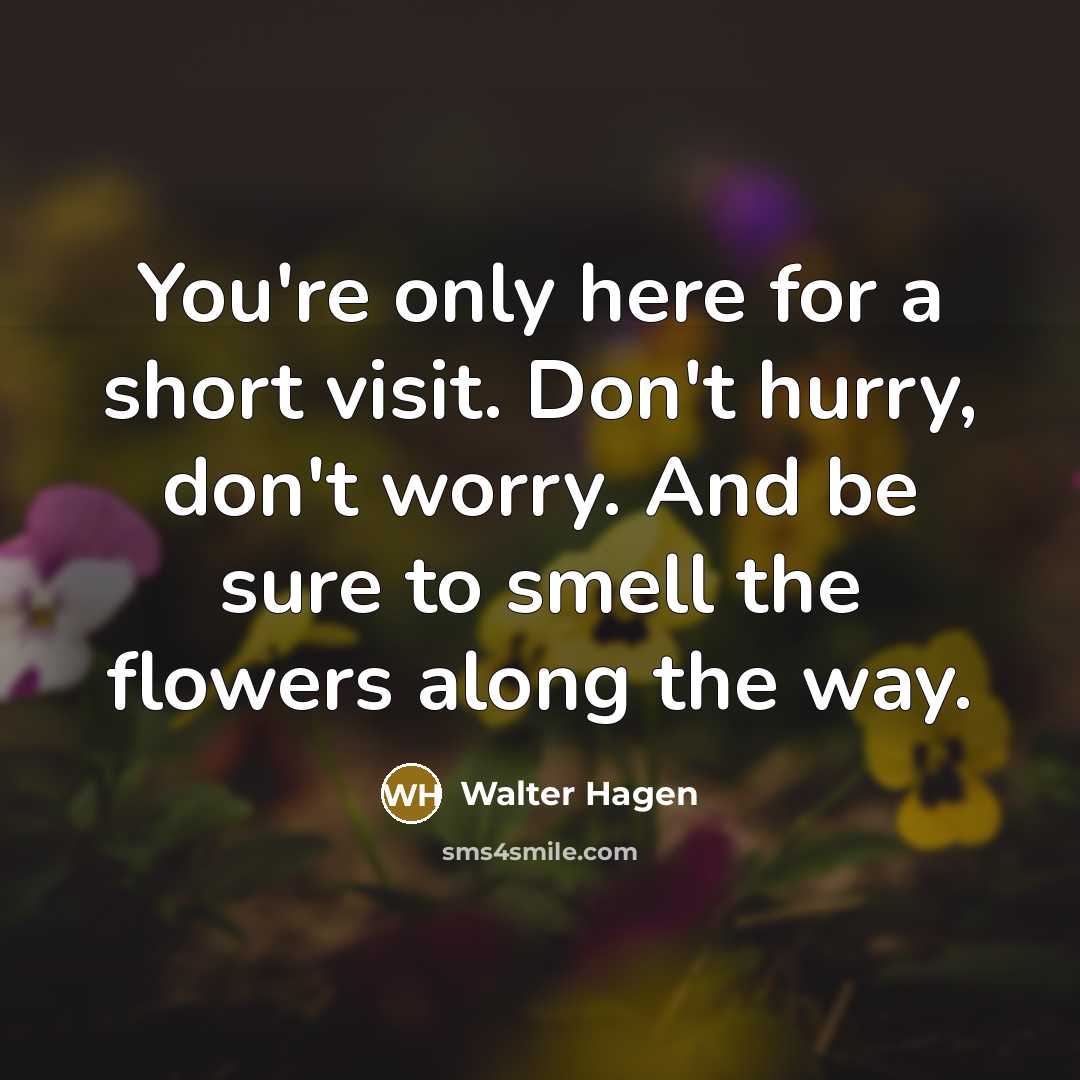 “You're only here for a short visit. Don't hurry, don't worry. And be sure to smell the flowers along the way.” quote by Walter Hagen
