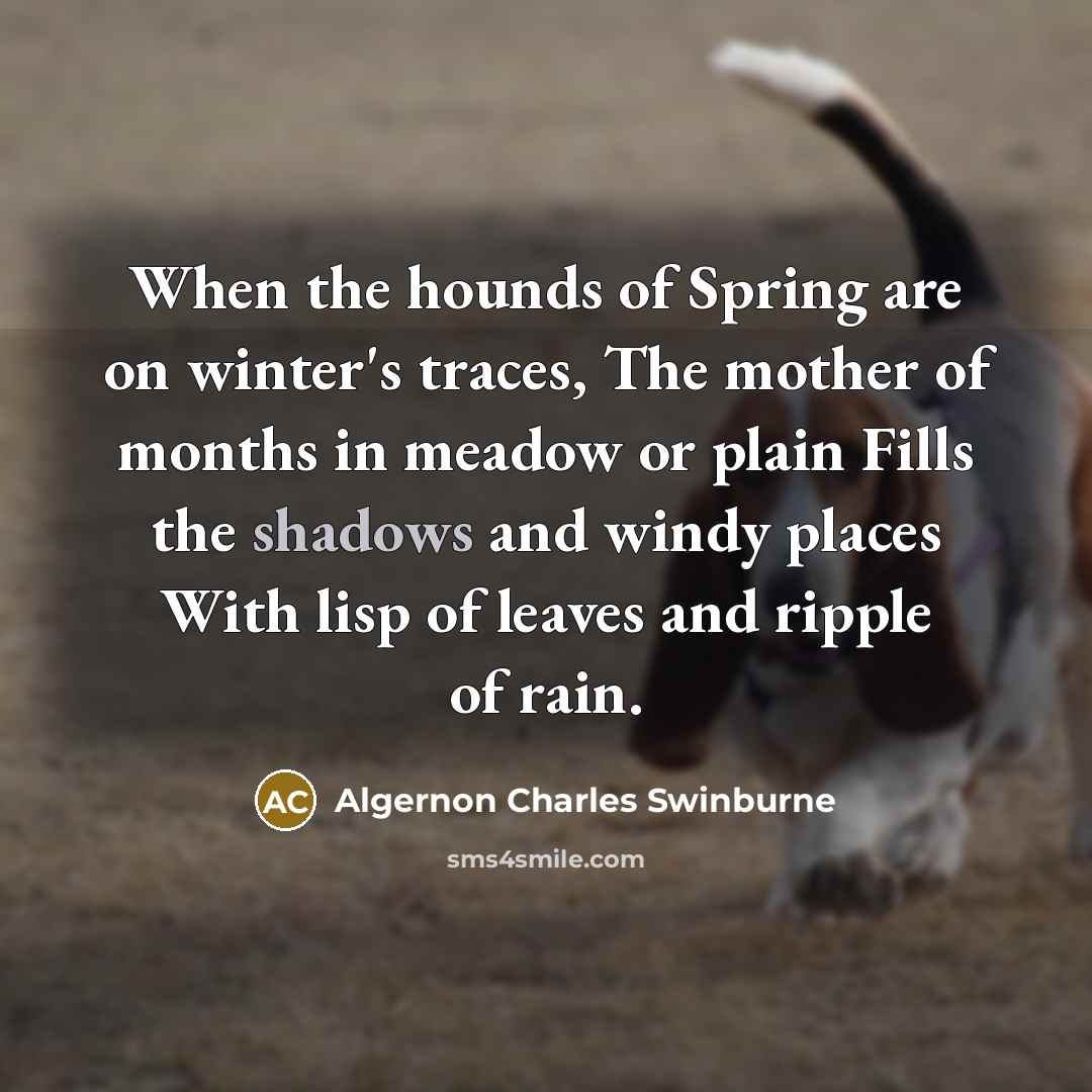 “When the hounds of Spring are on winter's traces, The mother of months in meadow or plain Fills the shadows and windy places With lisp of leaves and ripple of rain.” quote by Algernon Charles Swinburne