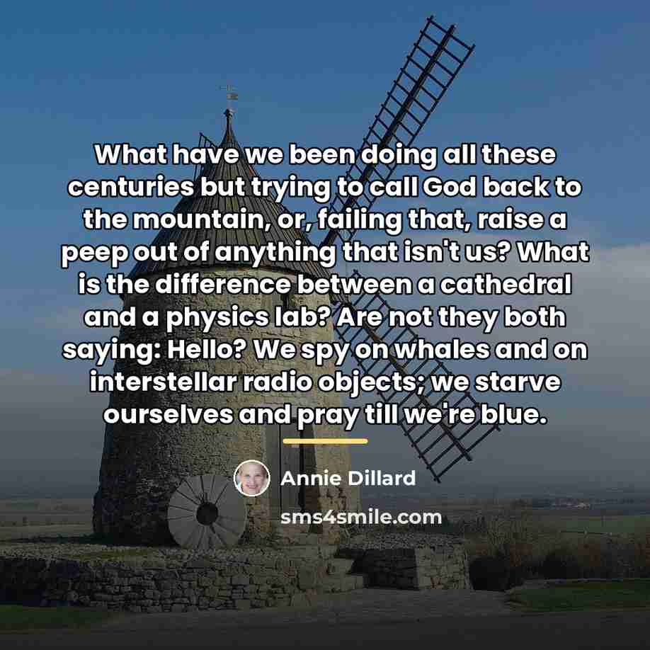 “What have we been doing all these centuries but trying…” quote by Annie Dillard